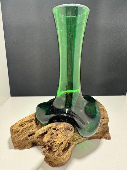 Recycled Beer Bottles - Flower Vase on Wood